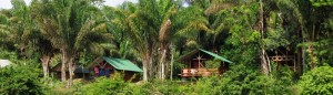 cropped-DSC00394.jpg